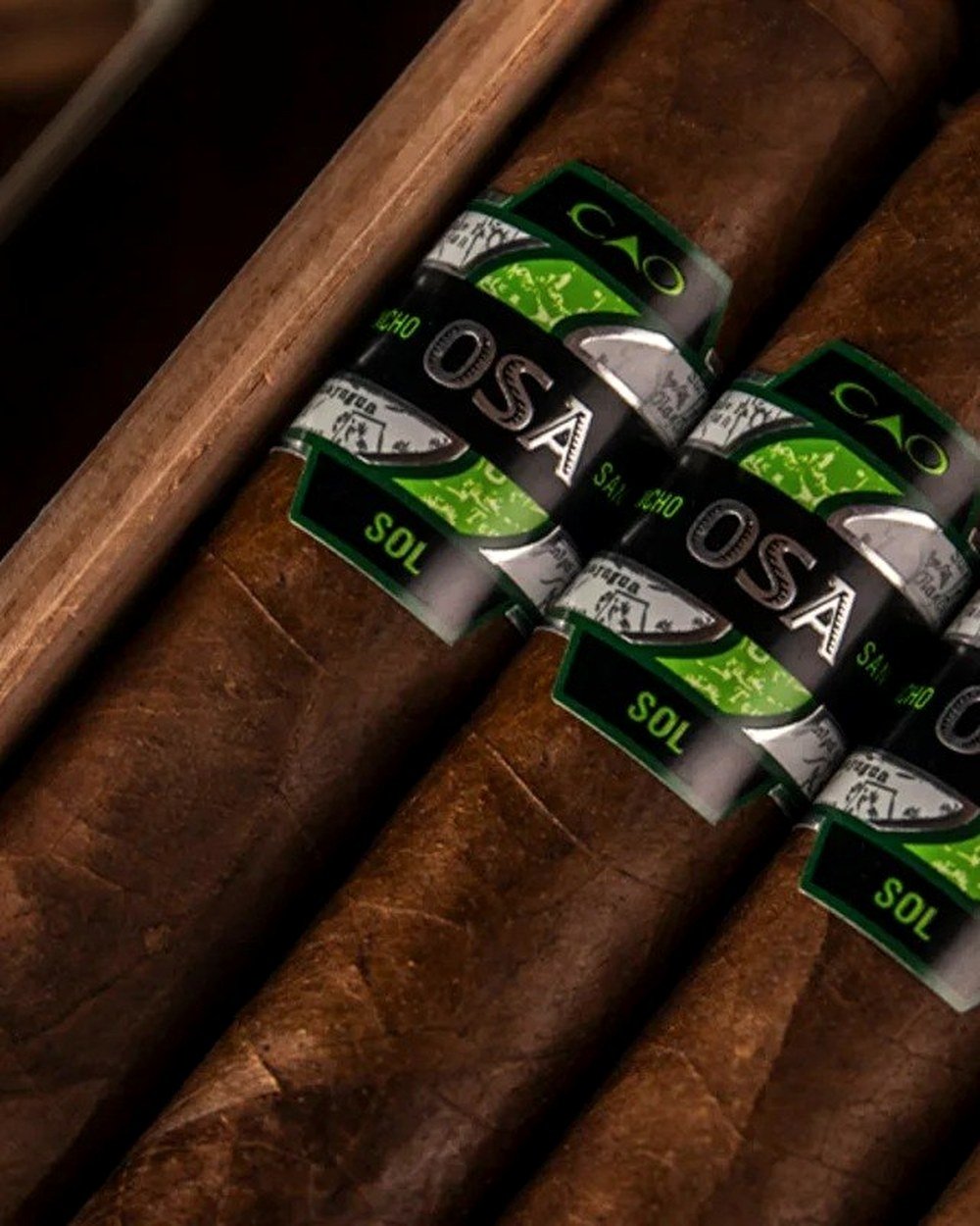 CAO OSA Sol Lot 54